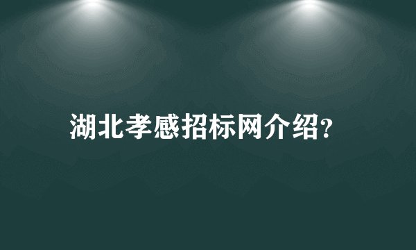 湖北孝感招标网介绍？