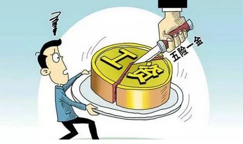 大学教授亮工资条反应了什么问题？