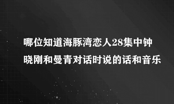 哪位知道海豚湾恋人28集中钟晓刚和曼青对话时说的话和音乐