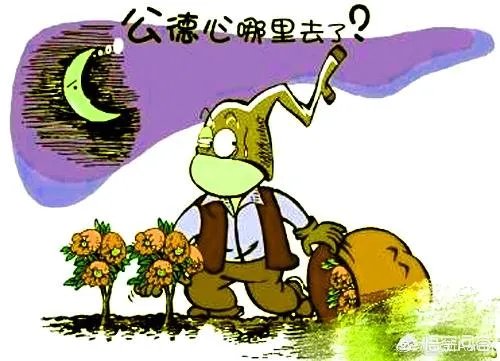 高铁扒门女教师究竟错在哪了？