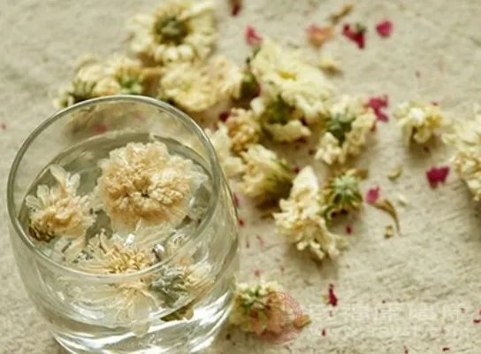 菊花茶的功效