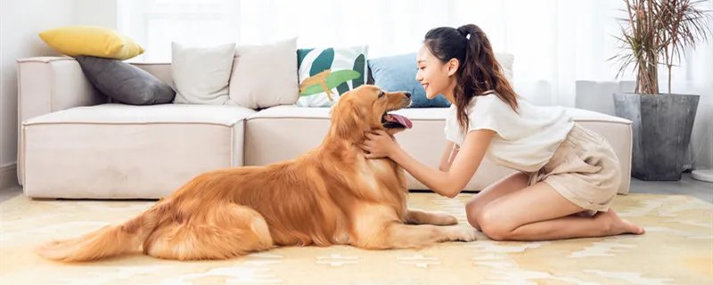 幼犬吃什么食物比较好 幼犬是几个月到几个月