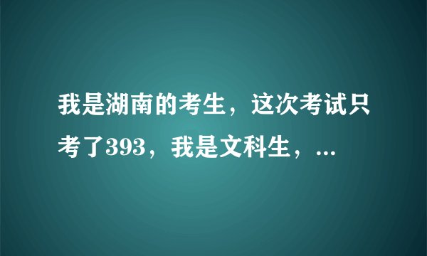 我是湖南的考生，这次考试只考了393，我是文科生，我在湖南能读什么学校？
