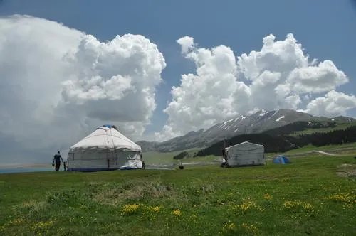 新疆全面恢复正常生产生活秩序后将会做出哪些安排?