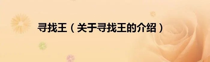 寻找王（关于寻找王的介绍）