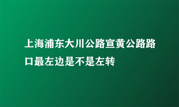 上海浦东大川公路宣黄公路路口最左边是不是左转