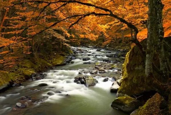 合肥的服装批发市场在哪里?有几个?