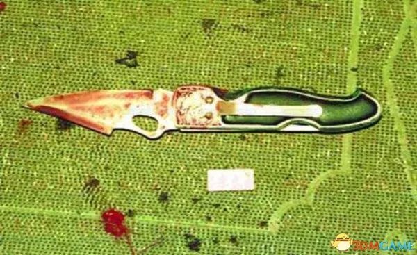 姐妹花在家中遇害 作案凶手为遇害者妈妈的前男友