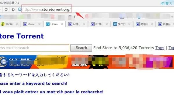 storetorrent官网