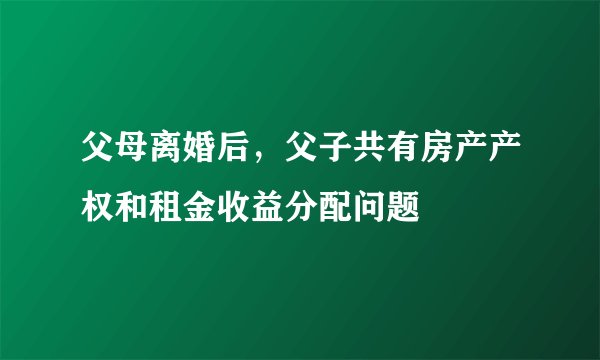 父母离婚后，父子共有房产产权和租金收益分配问题
