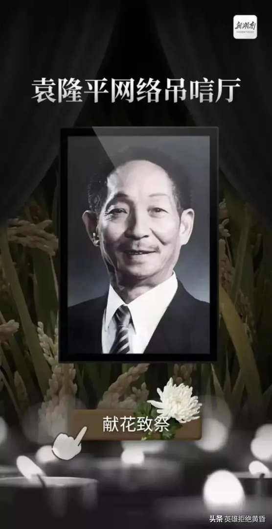 我们现在吃的大米，是袁隆平教授研发的杂交水稻吗？