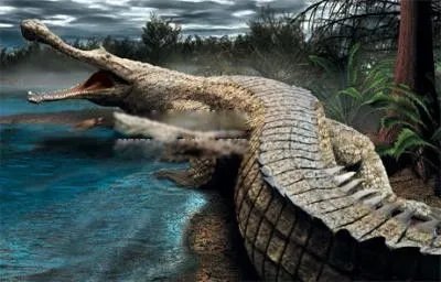 亚马逊莫拉氏鳄vs泰坦蟒谁更厉害 亚马逊莫拉氏鳄有多大