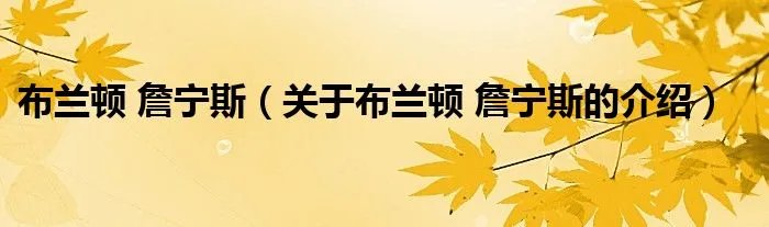 布兰顿 詹宁斯（关于布兰顿 詹宁斯的介绍）