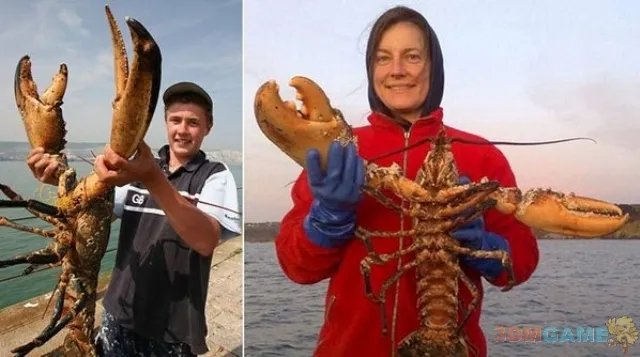 大得难以想象 那些震撼世人的巨型动物