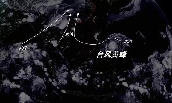 2020第1号台风“黄蜂”多少级 2020年第1号台风黄蜂登陆时间及地点