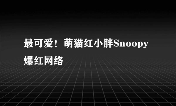 最可爱!萌猫红小胖Snoopy爆红网络