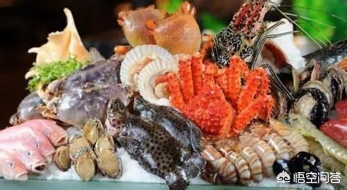 水产冻品的发展前景如何？