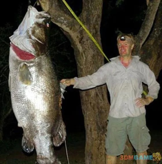 大得难以想象 那些震撼世人的巨型动物