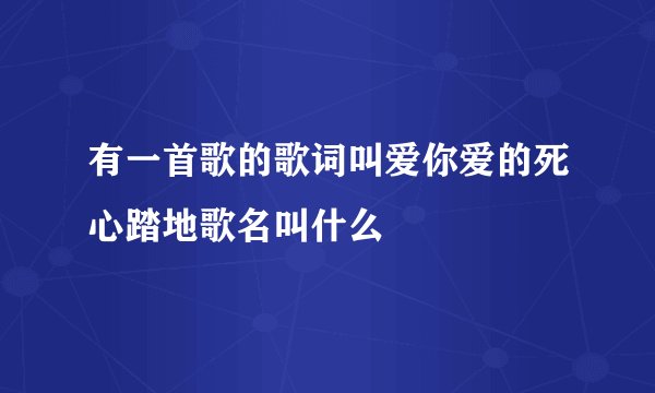 有一首歌的歌词叫爱你爱的死心踏地歌名叫什么