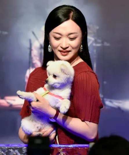 为什么这么多人喜欢金星？