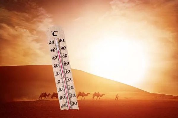 东京8月187人死于中暑，死者的年纪大概在哪个范围内？