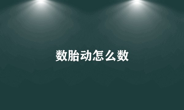 数胎动怎么数