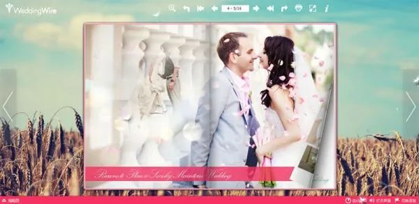 怎样制作电脑上应用程序格式的电子书.是像一本书的