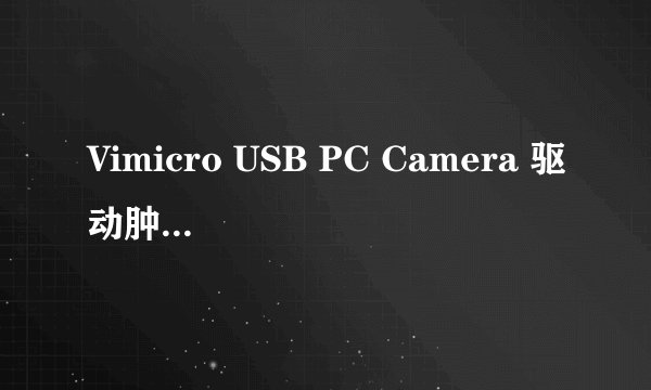 Vimicro USB PC Camera 驱动肿么彻底删除