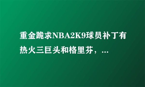 重金跪求NBA2K9球员补丁有热火三巨头和格里芬，库里等新秀的！