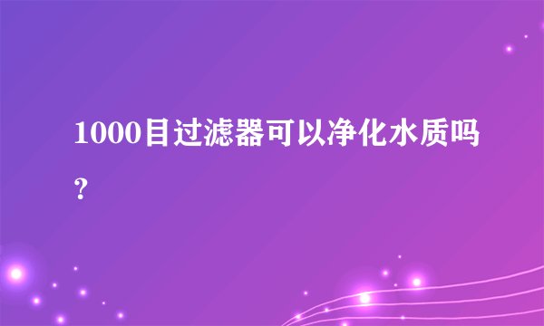 1000目过滤器可以净化水质吗？