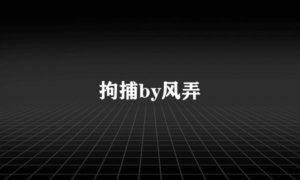 拘捕by风弄