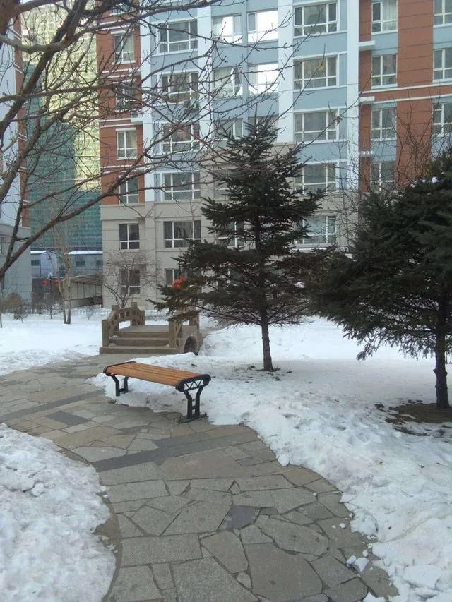 黑龙江还有可能爆发疫情吗？