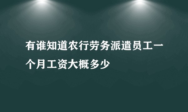 有谁知道农行劳务派遣员工一个月工资大概多少