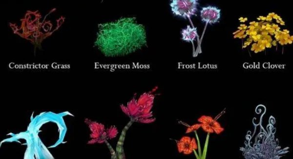 《怀旧服采药1-300》攻略是怎样的？