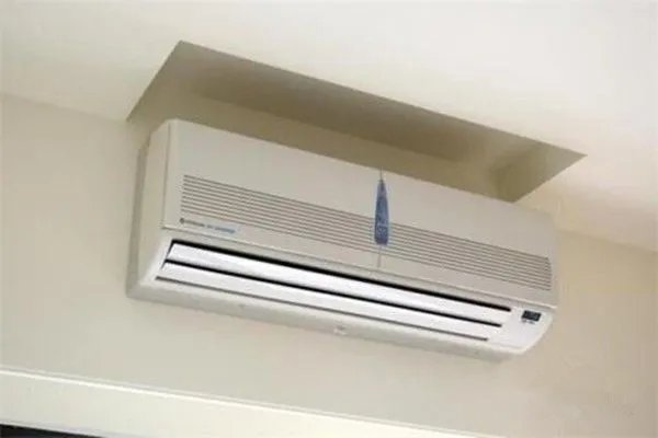 浙江网友将活虾从菜场拎到家熟了三只，当地的天气究竟有多热？