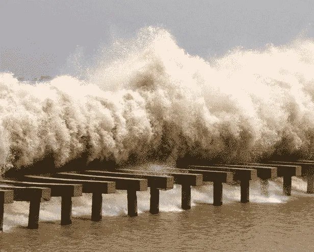 钱塘江大潮的文章和图片