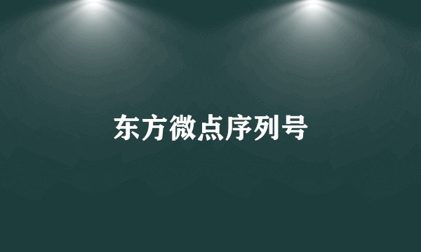东方微点序列号