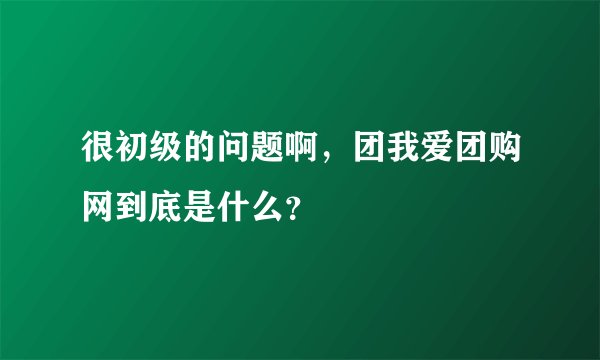 很初级的问题啊，团我爱团购网到底是什么？