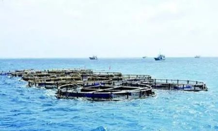 南沙渚碧礁建设