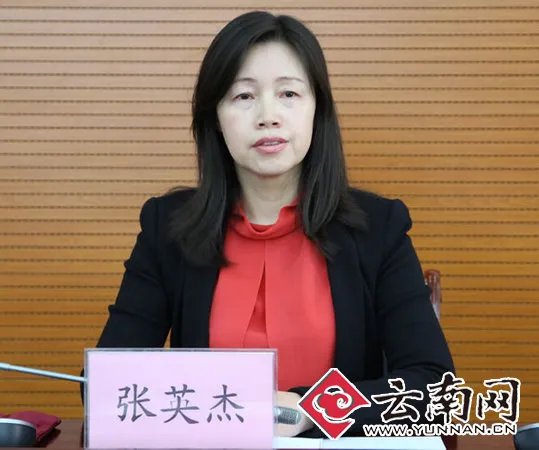 中国大学国际化水平排名的介绍