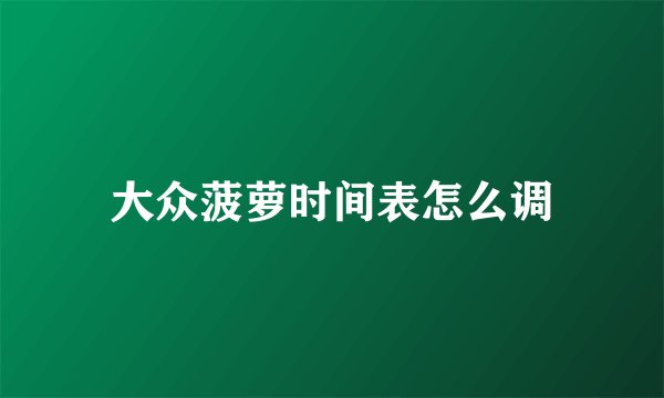 大众菠萝时间表怎么调