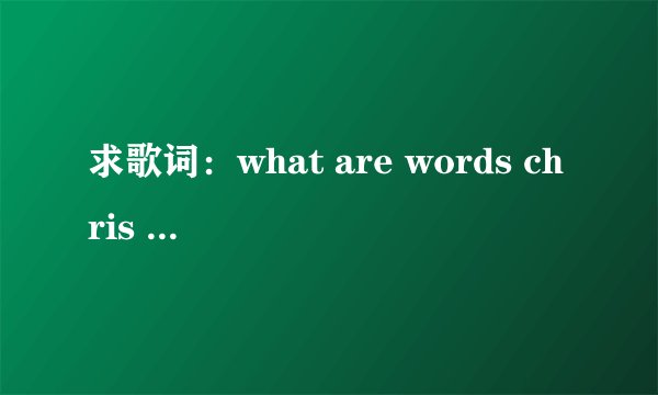 求歌词：what are words chris medina