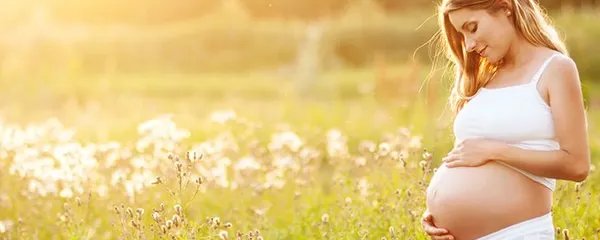 怀孕便秘吃什么好