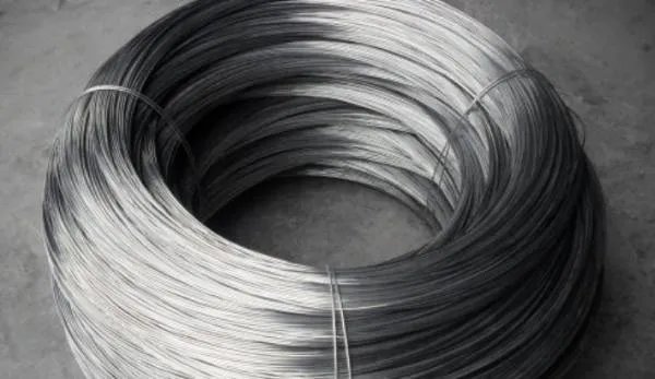 一位名叫努西达的人罹患一种罕见疾病，她从大学时身体就开始不断长出铁丝，这是为什么？