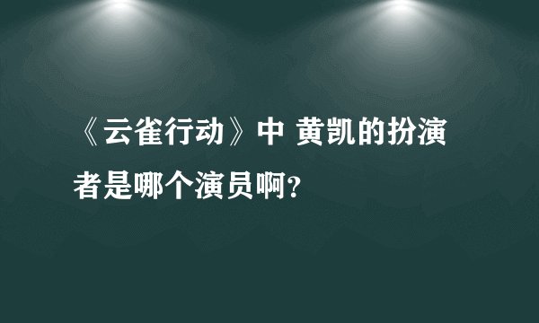 《云雀行动》中 黄凯的扮演者是哪个演员啊？