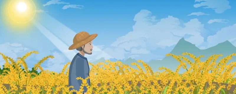 小暑节气是暑伏吗