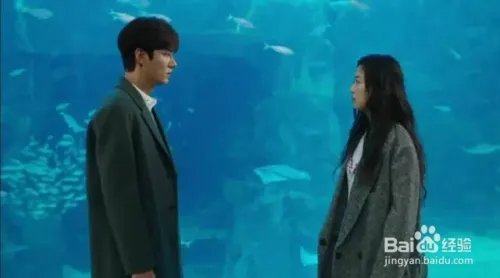 十大必看韩剧排行榜