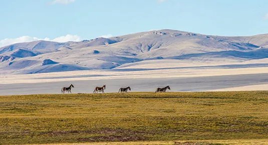 中国世界遗产总数或达第一是怎么回事？