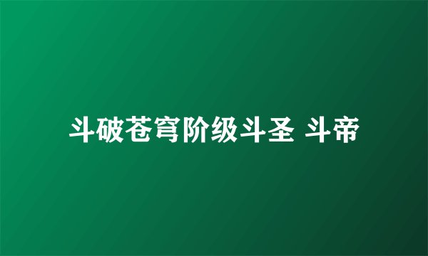斗破苍穹阶级斗圣 斗帝