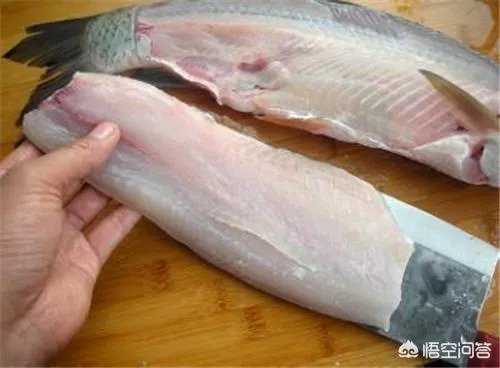 做鱼丸用什么海鱼